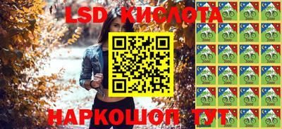 индика Ставрополь