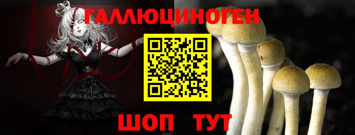 Острогожск  где купить   Вход с VPN  Галлюциногенные грибы Psilocybe 